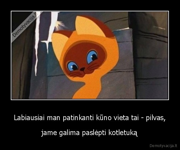 pilvas,kotletas