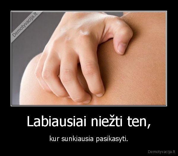 niezti