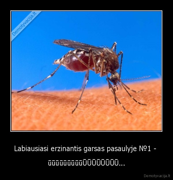 ir, atsitupia, tau, ant, ausies,uodas,vasara,stovykla