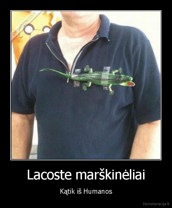 humana,marskineliai,lacoste
