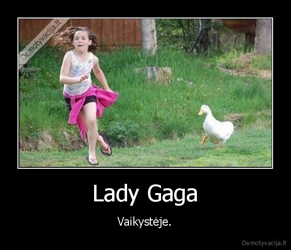 zasynas,gaga,aikyste,vejasi