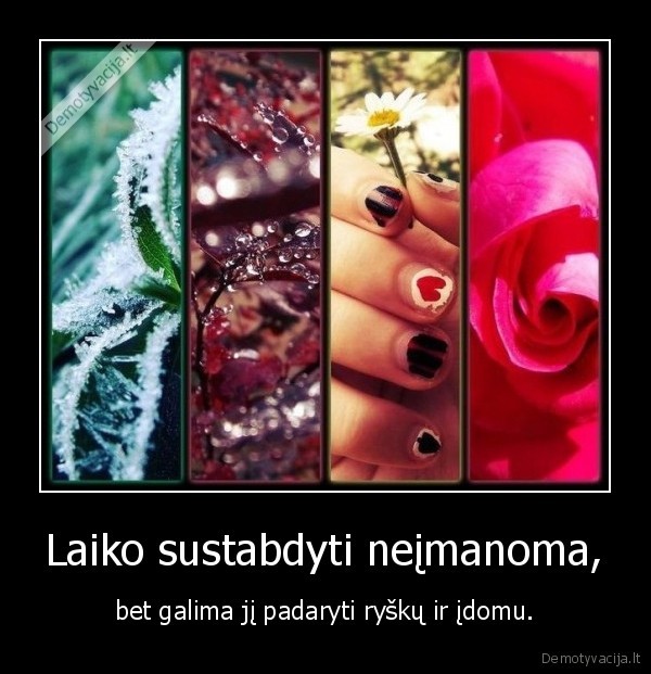 Laiko sustabdyti neįmanoma,