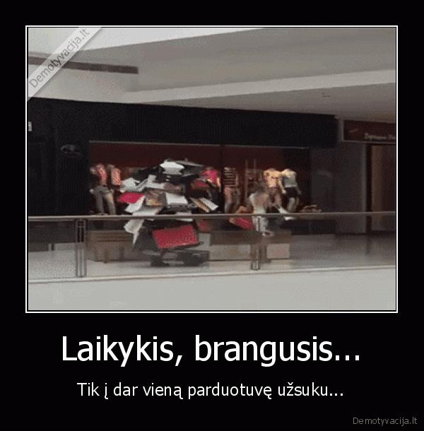 apsipirkinejimas,pirkiniu, maniake