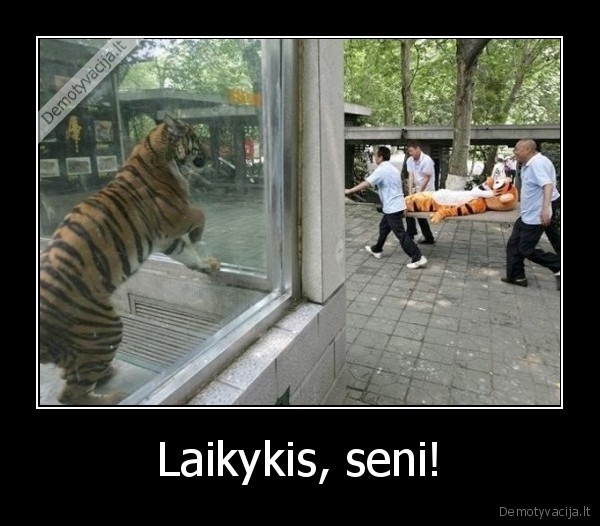 Laikykis, seni!