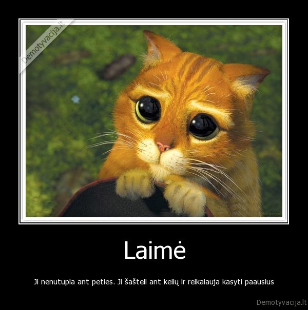 kate,suo,laime