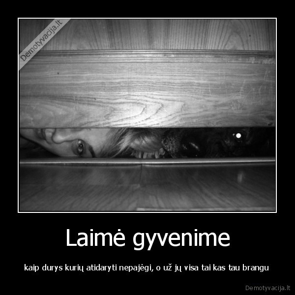 Laimė gyvenime