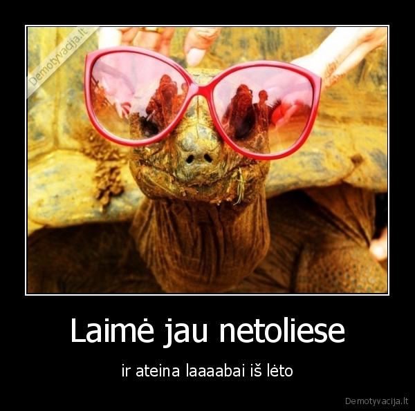 laime,vezlys,ateiti,netoliese,labai,letai,is, leto,akiniai,ruzava