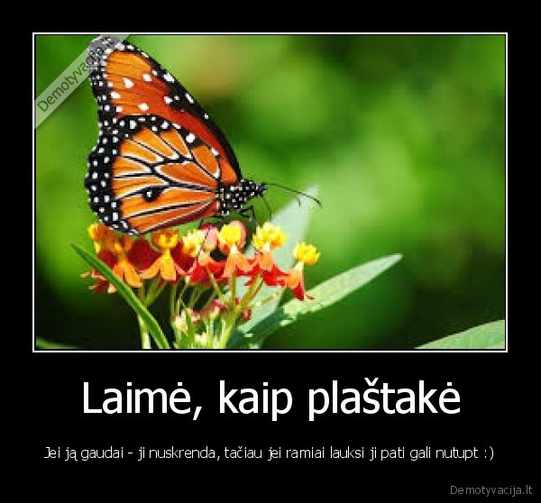 Laimė, kaip plaštakė