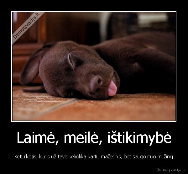sunys, ne, tik, kaledom, bet, visam, gyvenimui