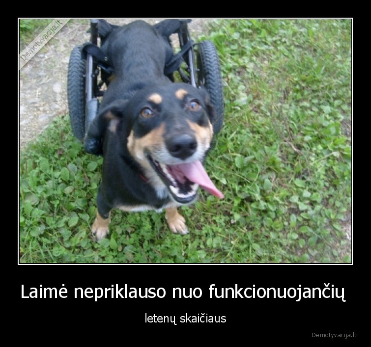suo,laime,letenos