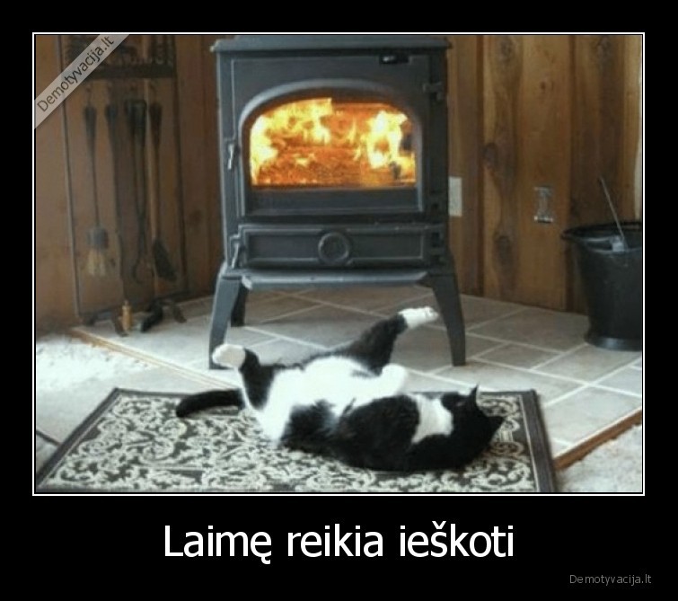 laime,siluma,katinas,sildosi