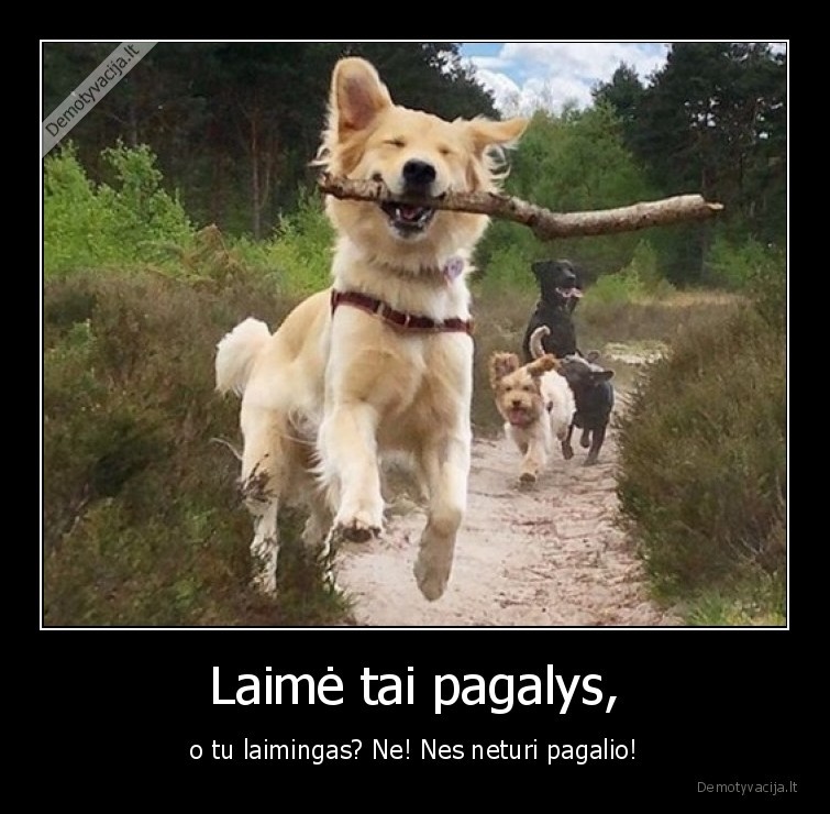 laime,suo,pagalys
