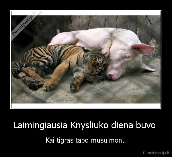 salam,aleikum,musulmonai,knysliukas,vegetarai