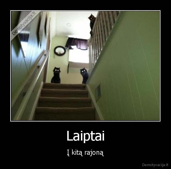 Laiptai