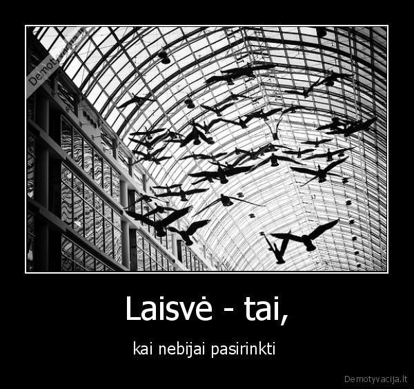 Laisvė - tai,
