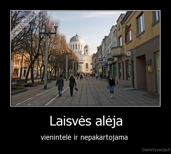 laisve