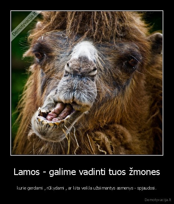 Lamos - galime vadinti tuos žmones