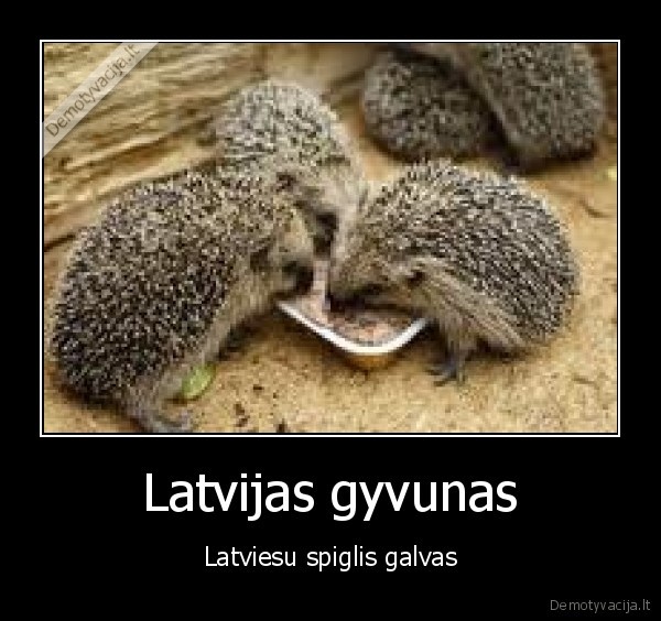 Latvijas gyvunas