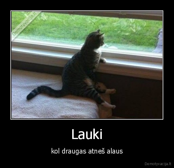 alus,draugas,atnes