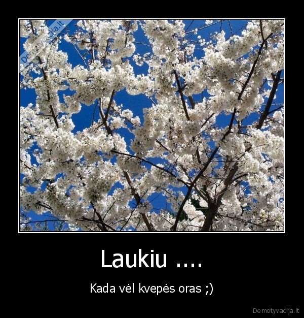Laukiu ....
