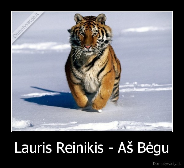 Lauris Reinikis - Aš Bėgu