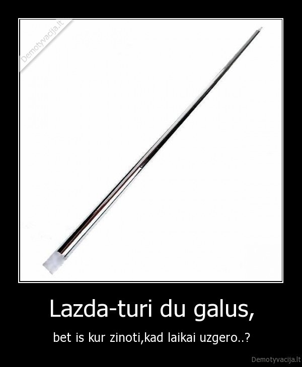 Lazda-turi du galus,