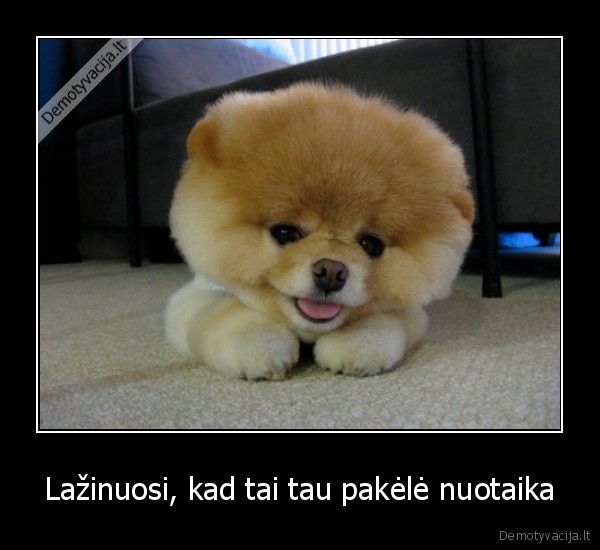 mieli, sunys