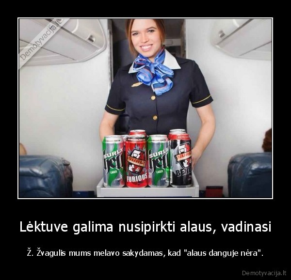 lektuvas,alus,zvagulis