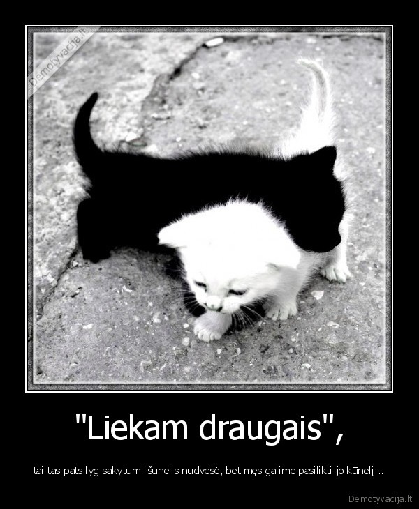 draugyste