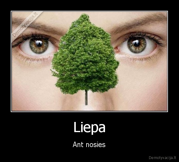 liepa,medinis, bajeris