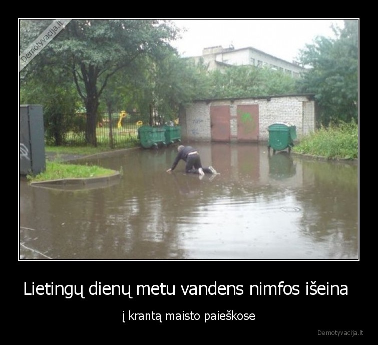 nimfa,vandens,lietus,sliauzia