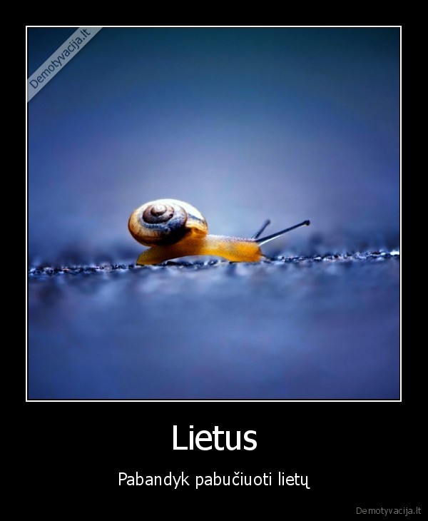 Lietus