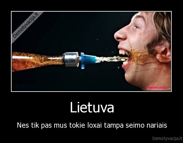 nedzinskas,loas,seimas,alus