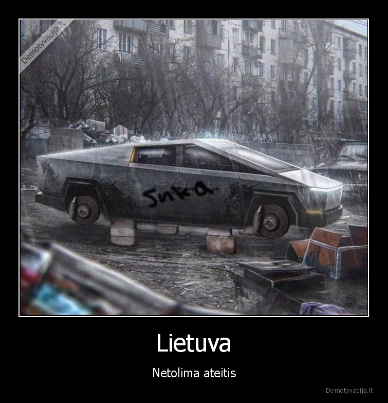 ateitis,lietuva,masina,elon, musk,tesla