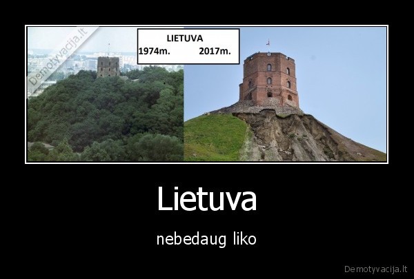 lietuva, emigracija, gedimino, bokstas, seimas, politika