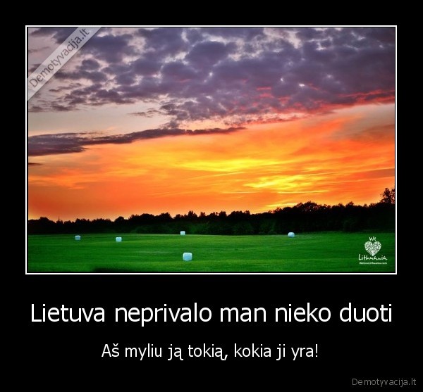 meile, lietuvai,patriotizmas,lietuva