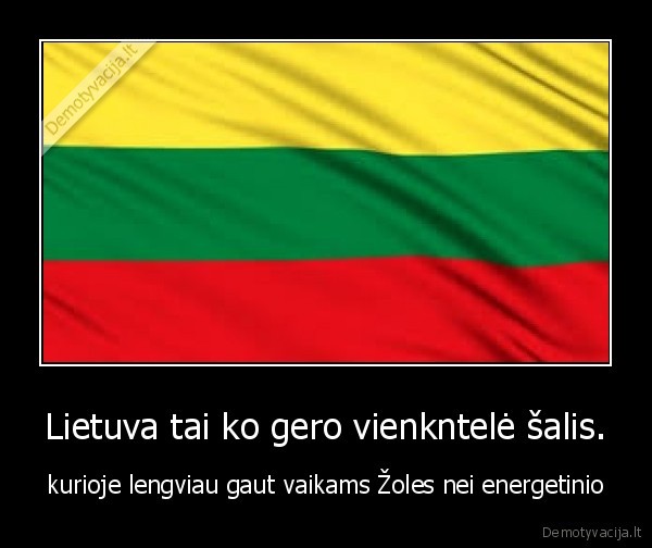Lietuva tai ko gero vienkntelė šalis.
