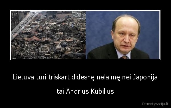 Lietuva turi triskart didesnę nelaimę nei Japonija