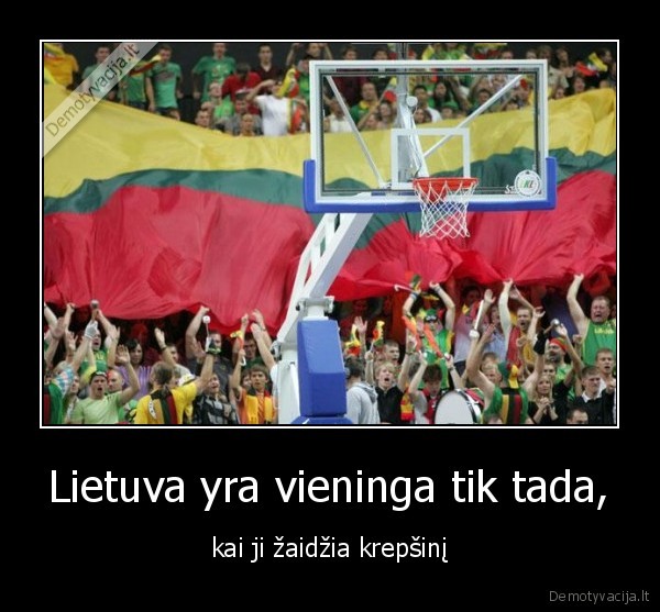 Lietuva yra vieninga tik tada,