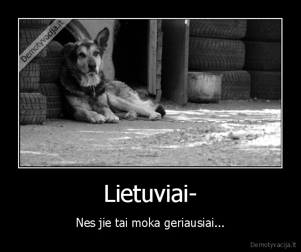 Lietuviai-