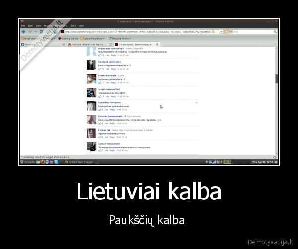 idiotai, dd