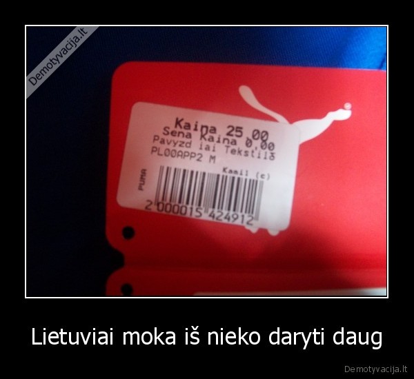 puma,tiesiog,kazkokia,nesamone,juk, gi,pirmas,darbas,demo,d3mo,diablo