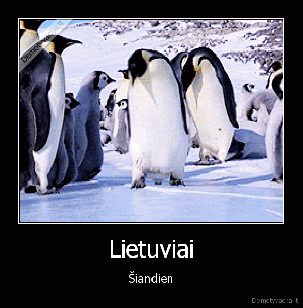ledas,slidu