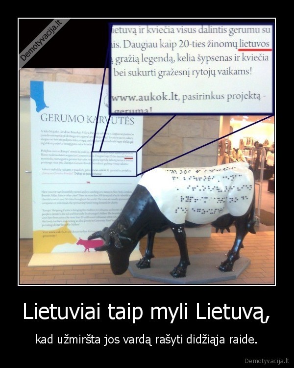 nemoka,rasyti,lietuvos,vardo