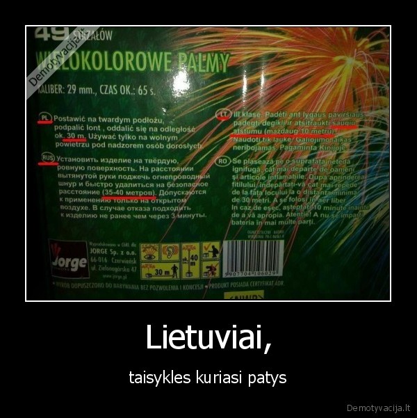 taisykles,nesamone