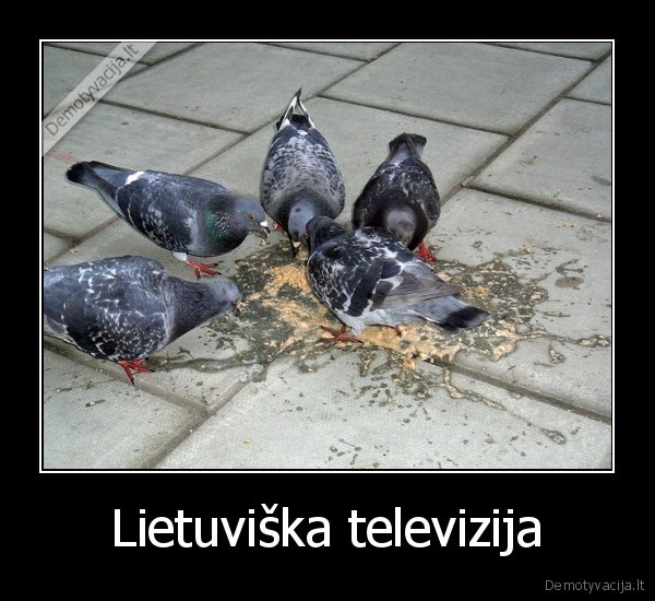 prasta, kokybe,nieko, vertas, turinys,lovys,lietuviai