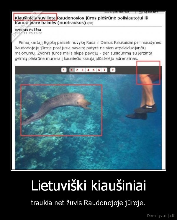 lietuviai