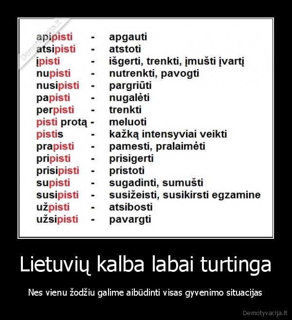 lietuviu, kalba,jaunimo, zodynas,zargonas,zodzio, reiksmes