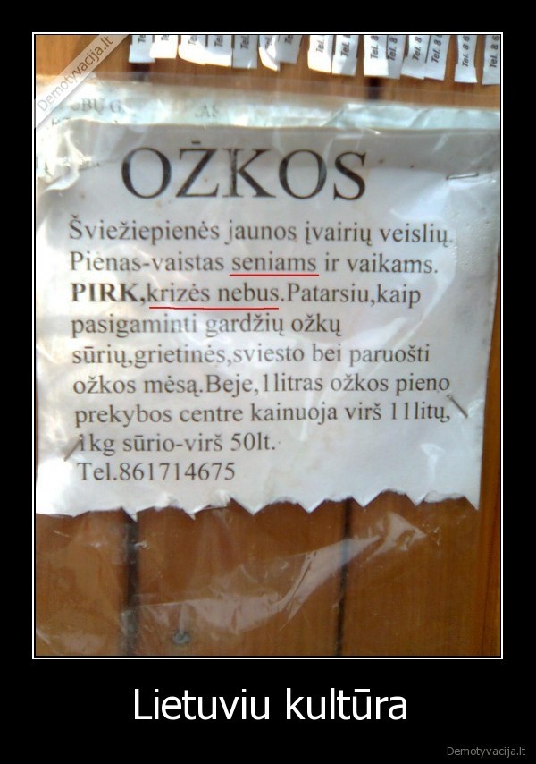 Lietuviu kultūra