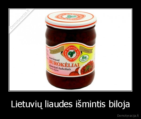 Lietuvių liaudes išmintis biloja